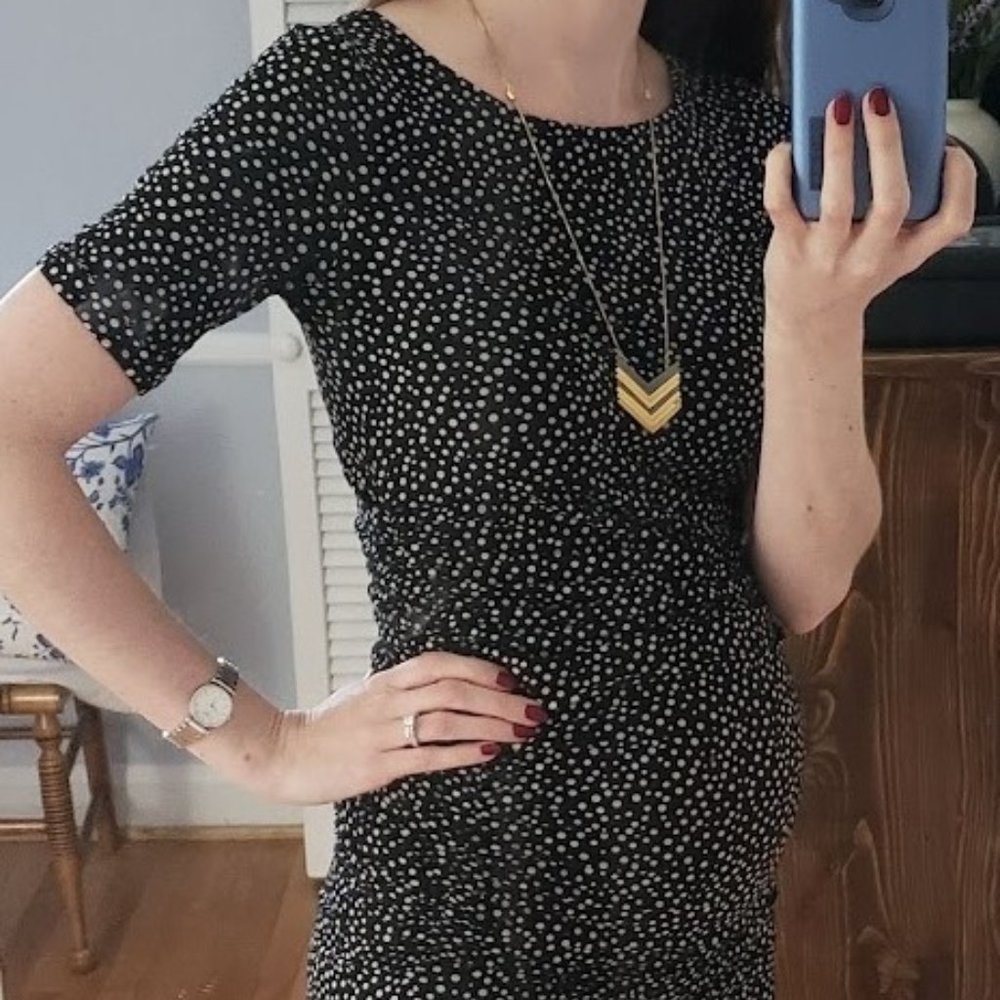 Isabella Oliver Danni Maternity Dress.